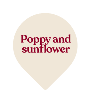 Poppy and sunflower
